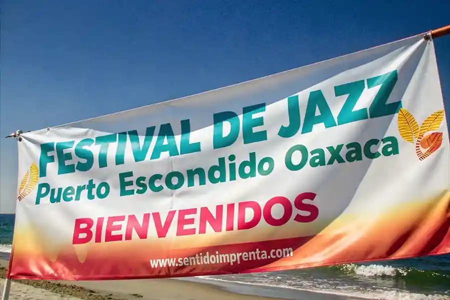 Lonas y Viniles en Oaxaca